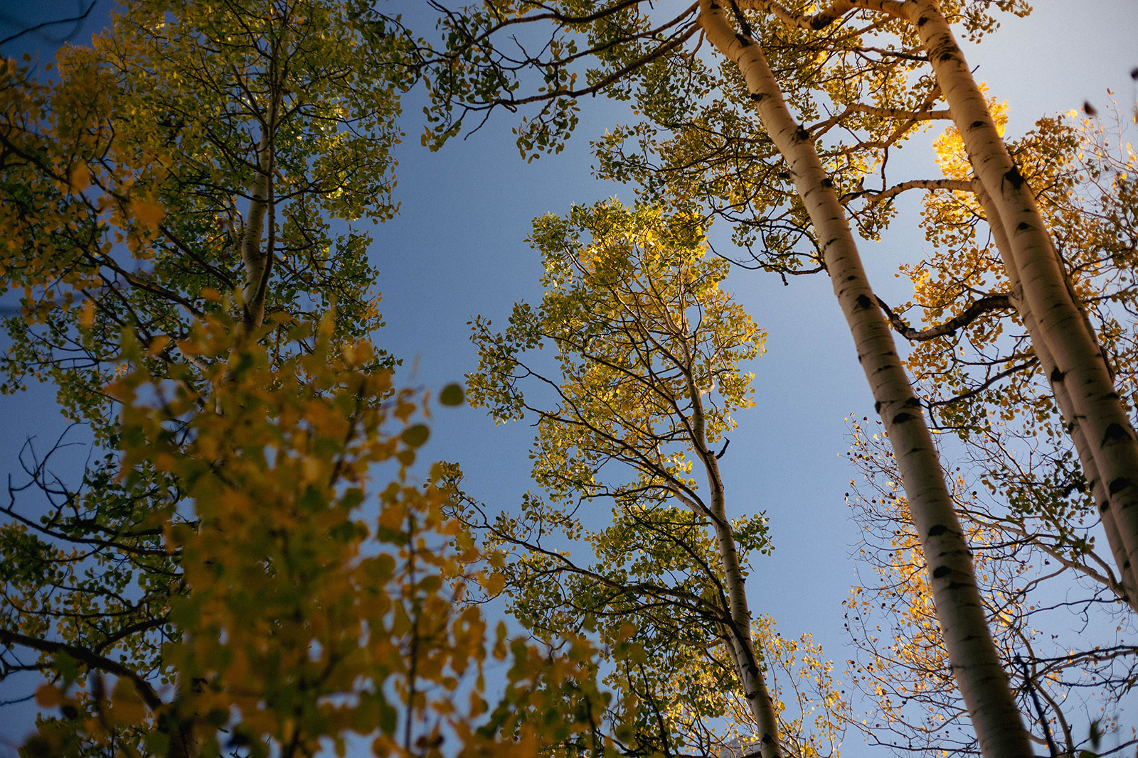 Photos of Colorado Mountains