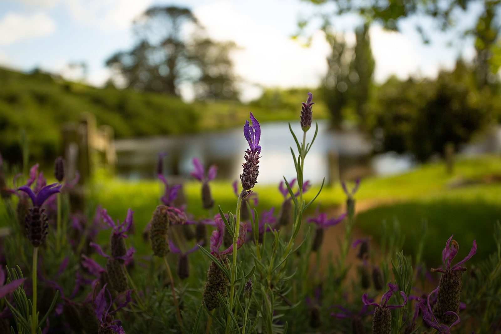 New Zealand Photography