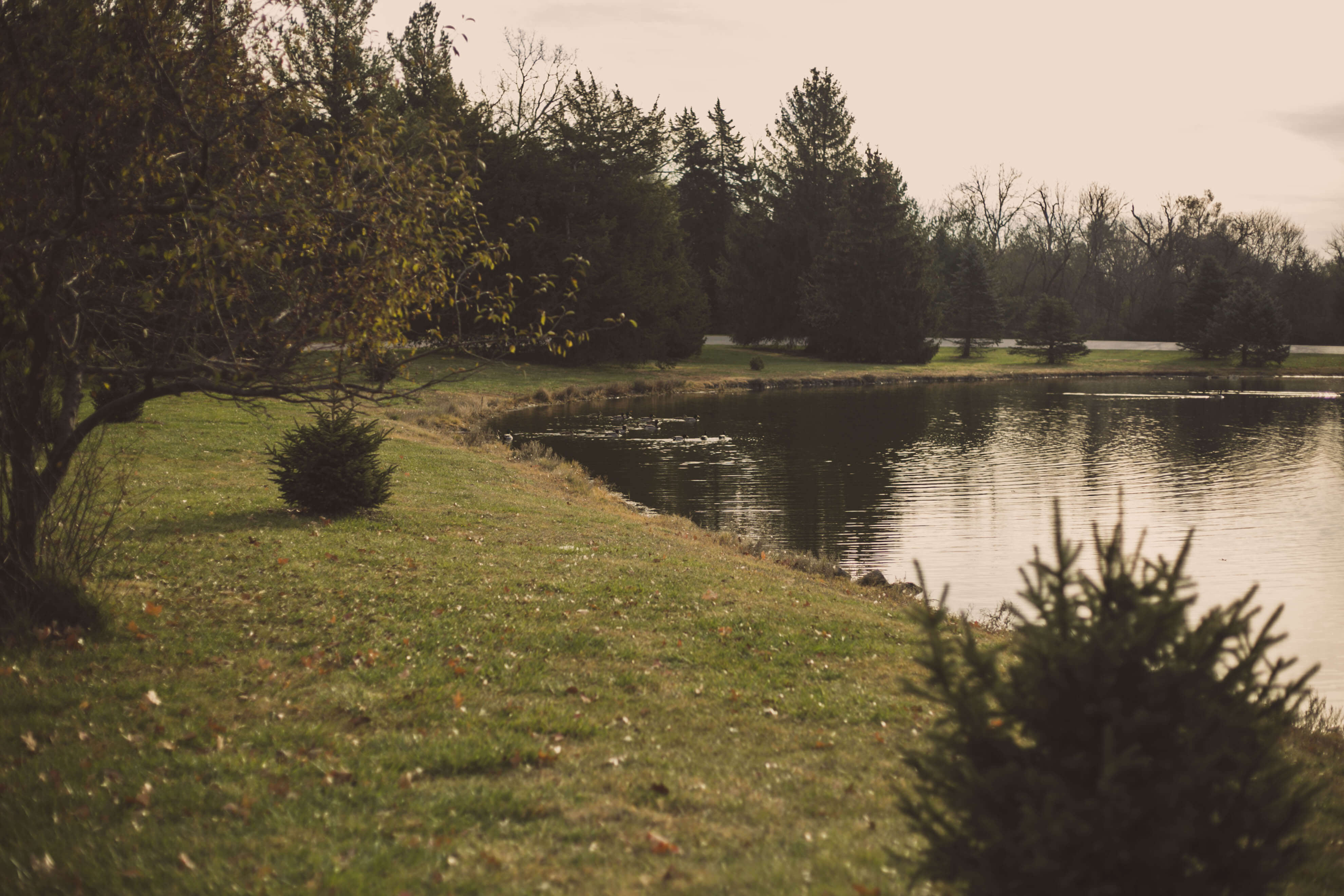 Pioneers Park