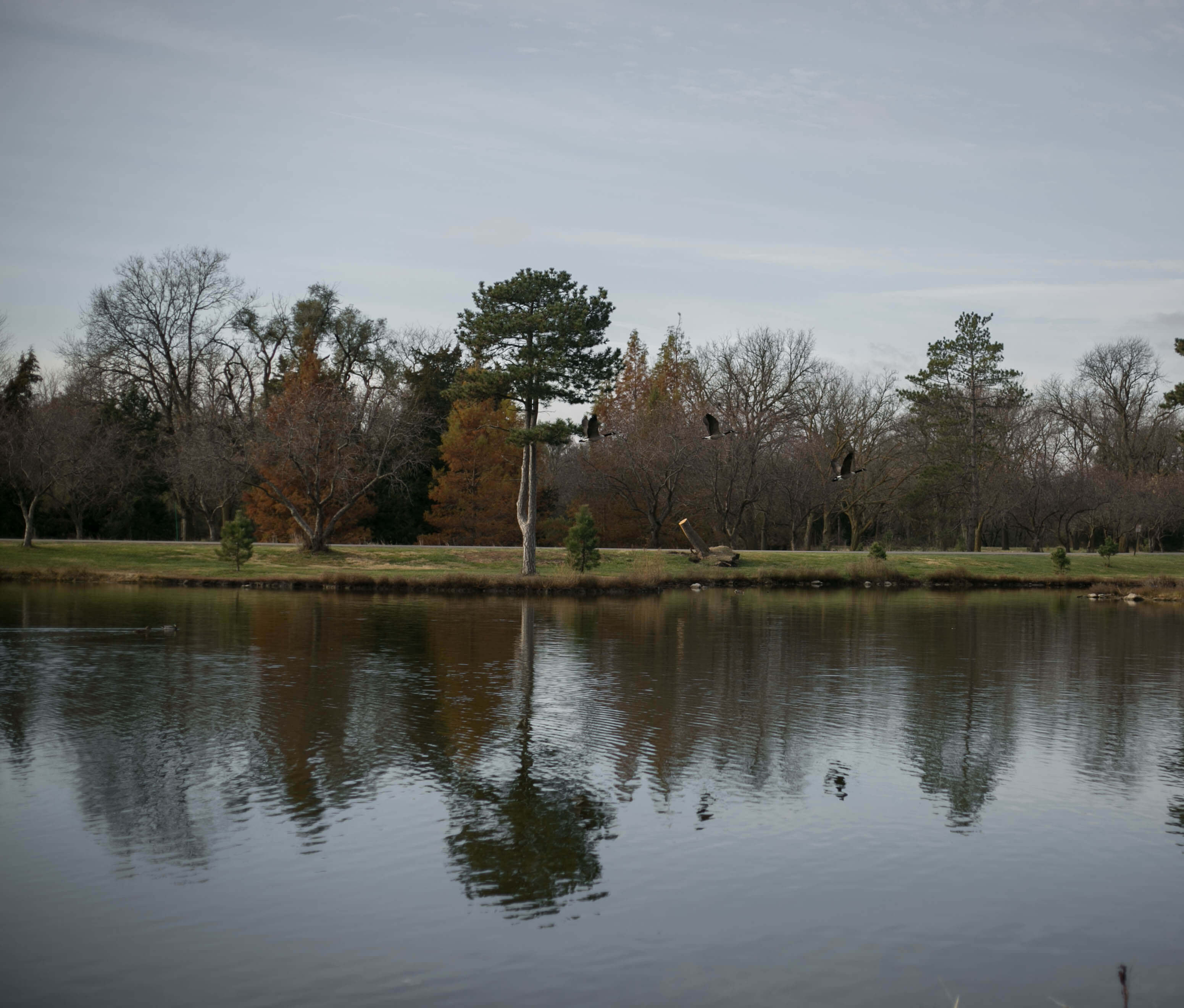 Pioneers Park