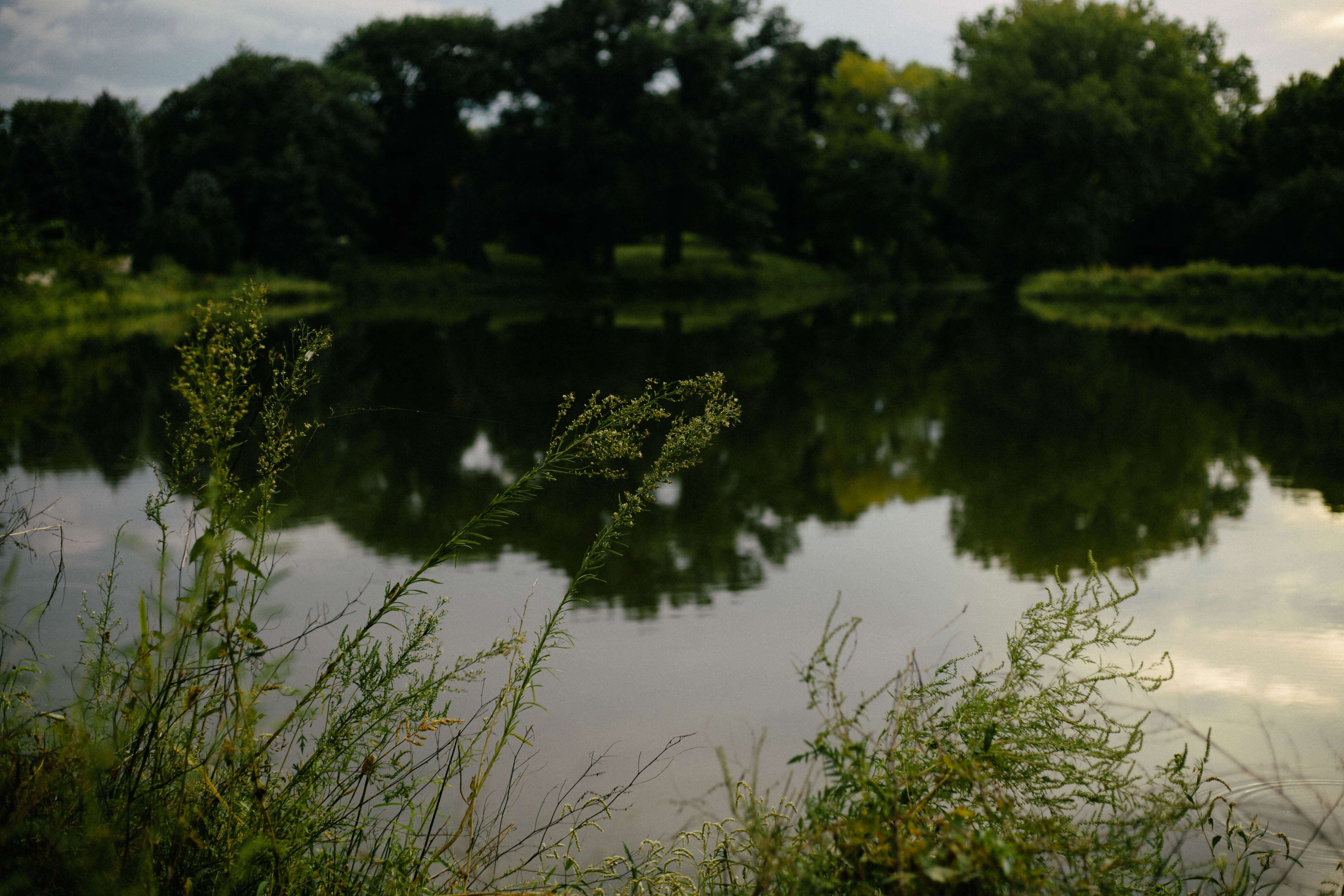 Pioneers Park